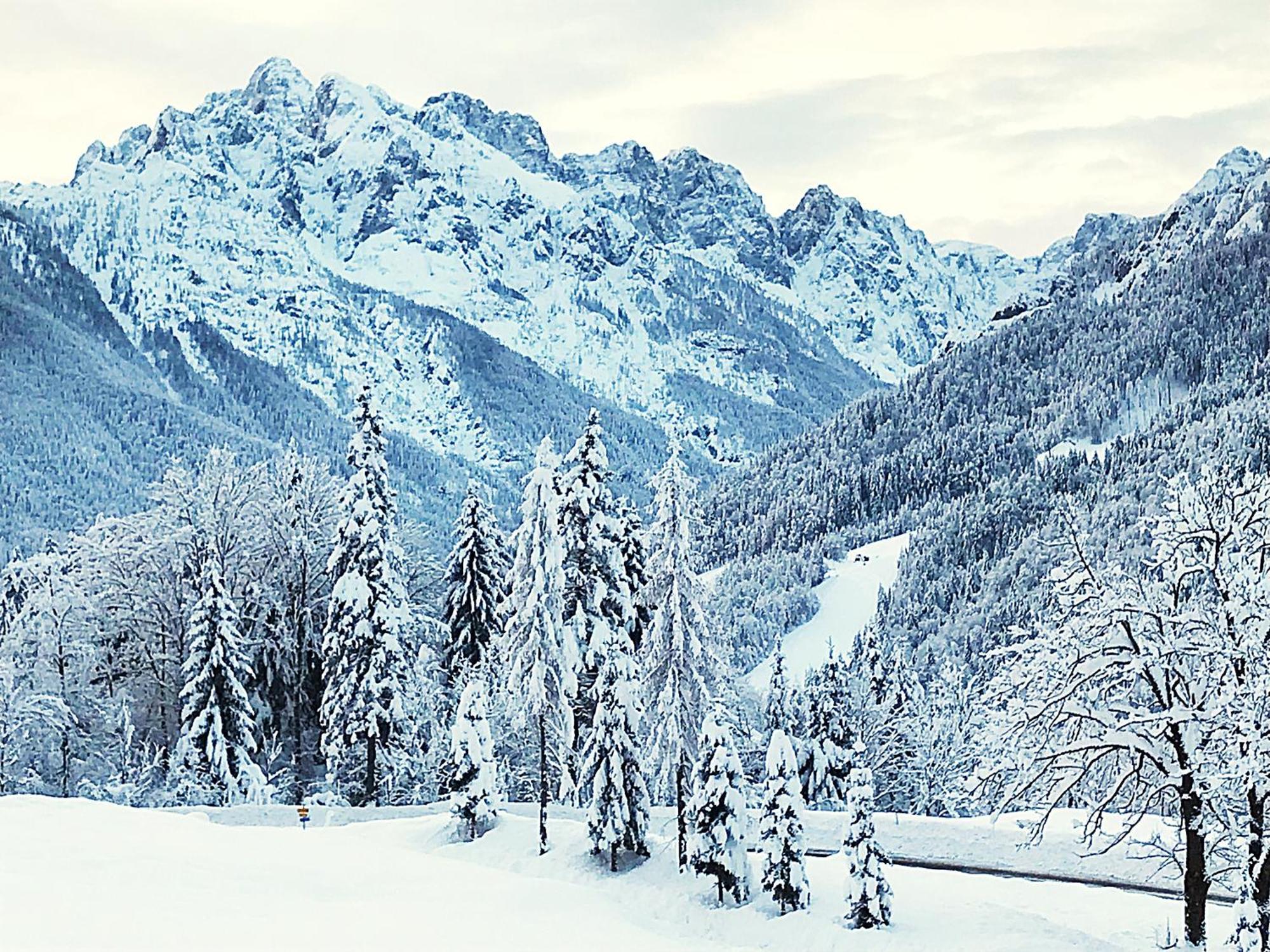 Pr'Gavedarjo Eco Heritage B&B Kranjska Gora Exteriör bild